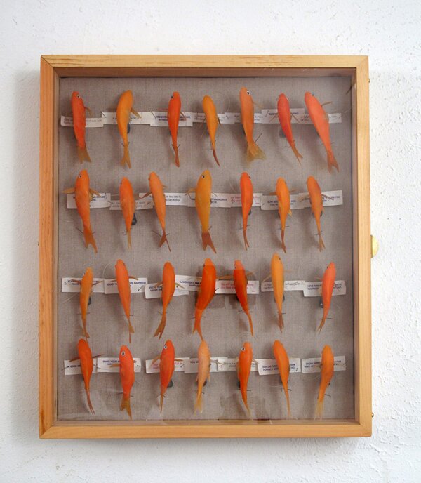 goldfish in case with fortunes