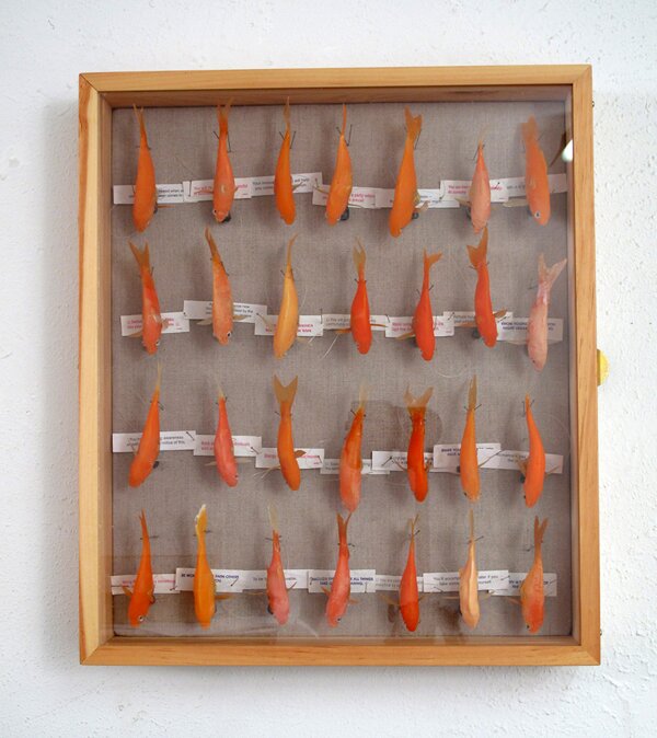 goldfish in case with fortunes
