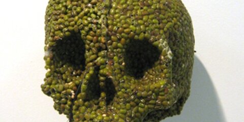 skull