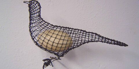 dove